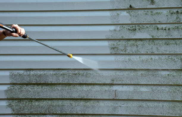 Best Garage Pressure Washing  in Alamo, NV