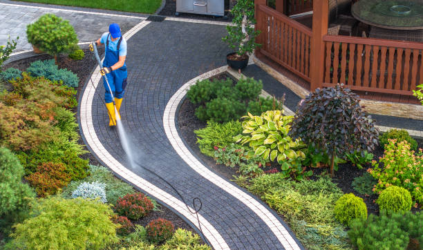 Best Roof Pressure Washing  in Alamo, NV